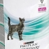 Cat food proplan gastro-intestinal - rysy použití produktu s léčivými vlastnostmi