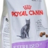 Royal canin krmivo pro sterilizované kočky - pravidla pro krmení domácích mazlíčků speciálním krmivem