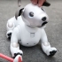 Robot dog aibo: imitace nebo nová forma života?